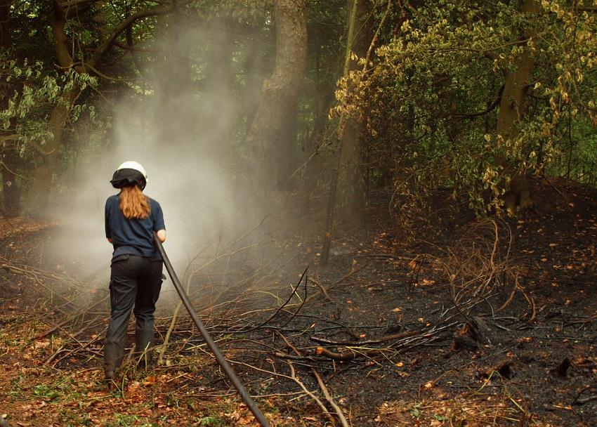 Waldbrand Bergisch Gladbach Bensberg P167.JPG